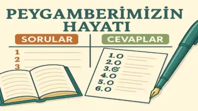 5. Sınıf Peygamberimizin Hayatı Ders Kitabı Sayfa 44 Cevapları Meb Yayınları