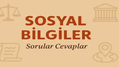 5. Sınıf Sosyal Bilgiler Ders Kitabı Sayfa 56 Cevapları Meb Yayınları