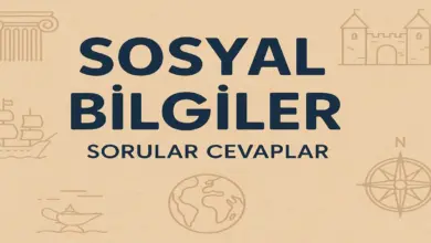 6. Sınıf Meb Sosyal Bilgiler 1. Ders Kitabı Sayfa 98-101 Cevapları