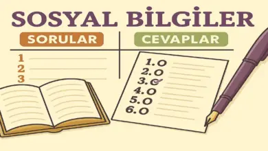 6. Sınıf Sosyal Bilgiler 1. Ders Kitabı Sayfa 104-105 Cevapları Meb Yayınları