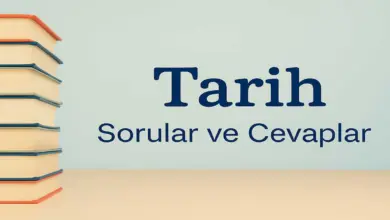 9. Sınıf Tarih Ders Kitabı Sayfa 72-73 Cevapları Meb Yayınları