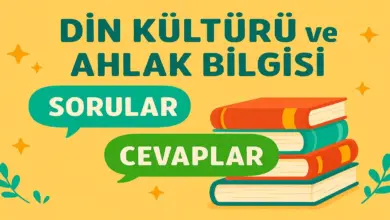 Seriyye Nedir, Ne Anlama Gelir? Seriyye Olarak Kabul Edilenler Nelerdir?