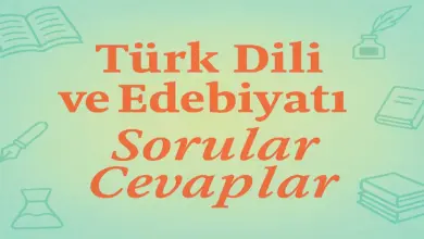 10. Sınıf Meb Edebiyat Ders Kitabı Sayfa 119-121 Cevapları
