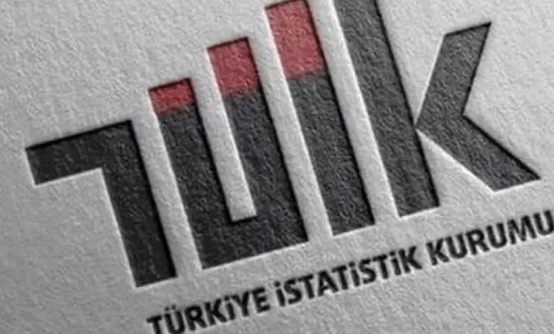 TÜİK 2024 Verilerine Göre Türkiye’de En Fazla İhracat ve İthalat Yapan 5 İl Belli Oldu