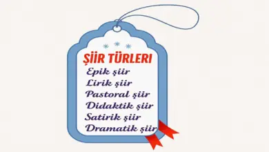 Ülkemizin bugünlere gelmesine büyük katkısı bulunan sehit ve gazilerimiz için bir siir yazınız