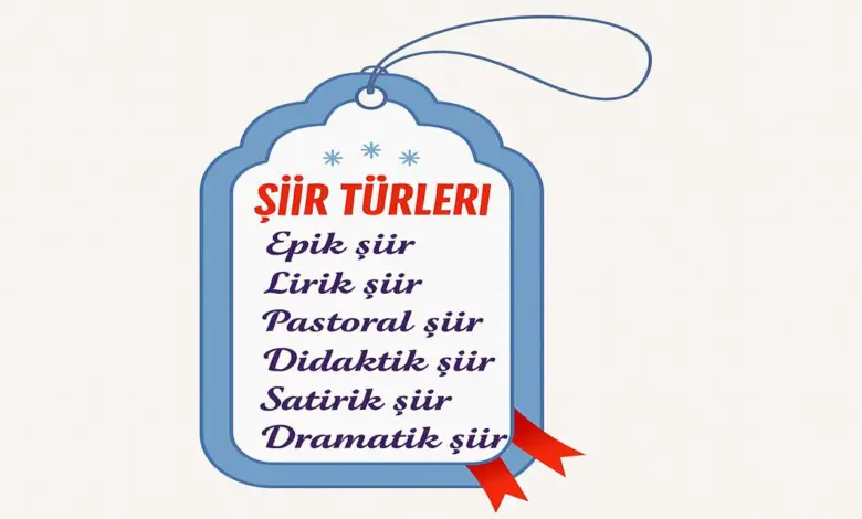 Ülkemizin bugünlere gelmesine büyük katkısı bulunan sehit ve gazilerimiz için bir siir yazınız