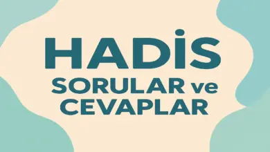 10. Sınıf Hadis Ders Kitabı Cevapları Meb Yayınları