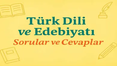 11. Sınıf Edebiyat Ders Kitabı Sayfa 81-83 Cevapları Meb Yayınları