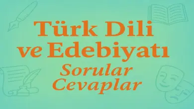 11. Sınıf Meb Edebiyat Ders Kitabı Sayfa 84-87 Cevapları