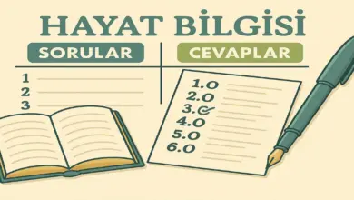 2. Sınıf Hayat Bilgisi 1. Ders Kitabı Sayfa 100-101 Cevapları Meb Yayınları