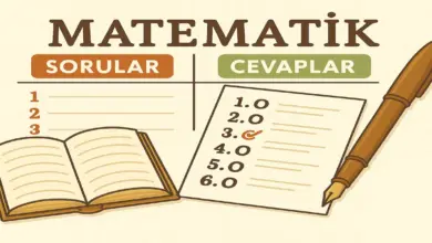6. Sınıf Meb Matematik 1. Ders Kitabı Sayfa 114-117 Cevapları