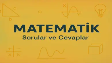 6. Sınıf Meb Matematik 1. Ders Kitabı Sayfa 76-77 Cevapları