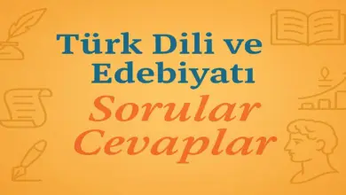 9. Sınıf Edebiyat Ders Kitabı Sayfa 136 Cevapları Meb Yayınları