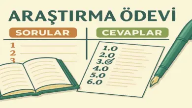 9. Sınıf Matematik 1. Ders Kitabı Sayfa 133 Cevapları Meb Yayınları