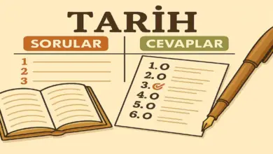9. Sınıf Tarih Ders Kitabı Sayfa 115 Cevapları Meb Yayınları