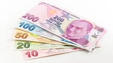 2026 Yurt Dışı Çıkış Harcı Açıklandı – İşte Yeni Yılda Uygulanacak Zamlı Tutar