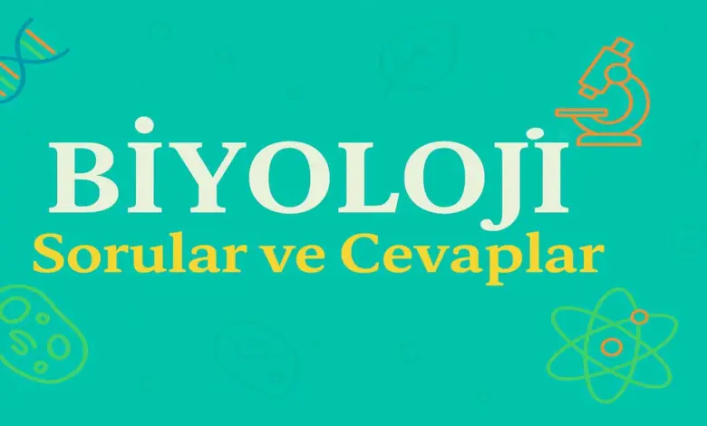 10. Sınıf Biyoloji Ders Kitabı Sayfa 101 Cevapları Meb Yayınları