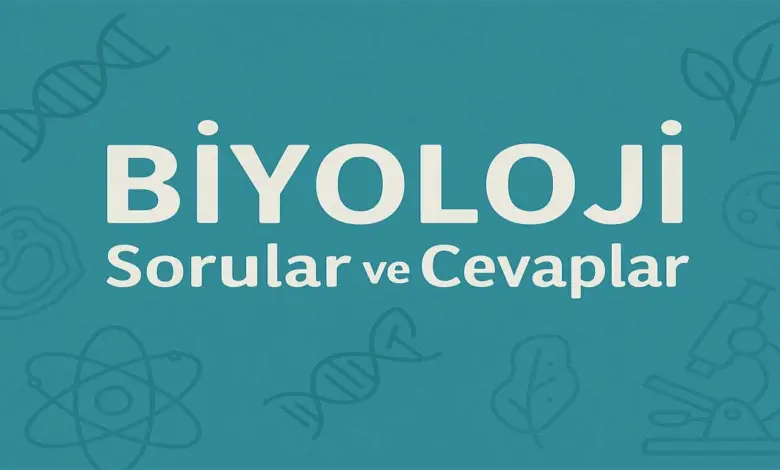 10. Sınıf Meb Biyoloji Ders Kitabı Sayfa 100 Cevapları