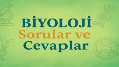 10. Sınıf Meb Biyoloji Ders Kitabı Sayfa 121 Cevapları