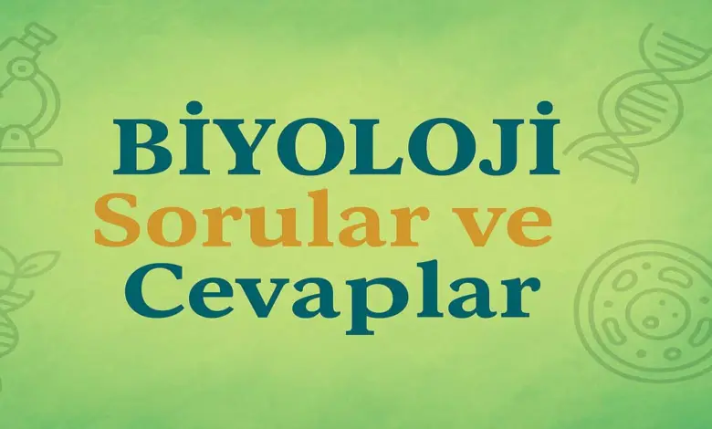 10. Sınıf Meb Biyoloji Ders Kitabı Sayfa 121 Cevapları