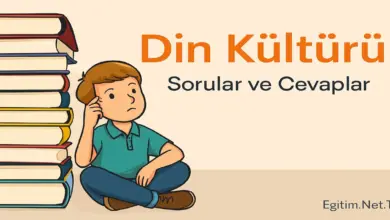 10. Sınıf Din Kültürü Ders Kitabı Sayfa 133-134 Cevapları Meb Yayınları