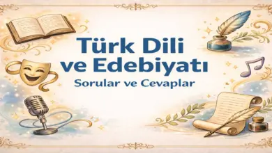 10. Sınıf Edebiyat Ders Kitabı Sayfa 168 Cevapları Meb Yayınları