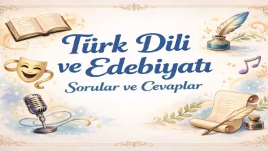 10. Sınıf Meb Edebiyat Ders Kitabı Sayfa 169 Cevapları