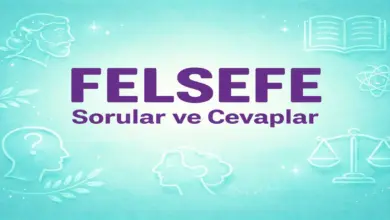 10. Sınıf Meb Felsefe Ders Kitabı Sayfa 112 Cevapları