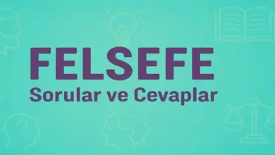 10. Sınıf Felsefe Ders Kitabı Sayfa 119-121 Cevapları Meb Yayınları