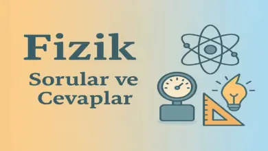 10. Sınıf Fizik Ders Kitabı Sayfa 198 Cevapları Meb Yayınları