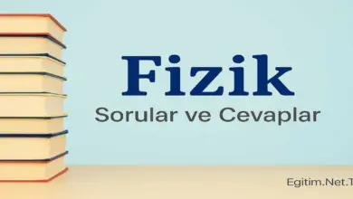 10. Sınıf Fizik Ders Kitabı Sayfa 200 Cevapları Meb Yayınları