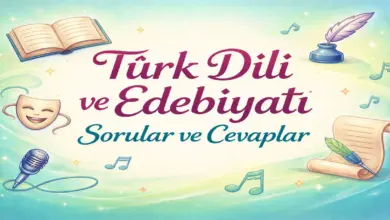 10. Sınıf Meb Edebiyat Ders Kitabı Sayfa 165-166 Cevapları