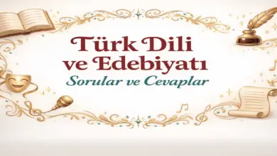 10. Sınıf Edebiyat Ders Kitabı Sayfa 160-163 Cevapları Meb Yayınları