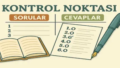 9. Sınıf Biyoloji Ders Kitabı Sayfa 113 Cevapları Meb Yayınları