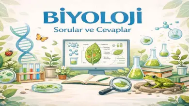 9. Sınıf Biyoloji Ders Kitabı Sayfa 50 Cevapları Meb Yayınları