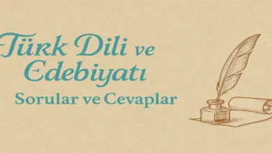 9. Sınıf Edebiyat Ders Kitabı Sayfa 159 Cevapları Meb Yayınları