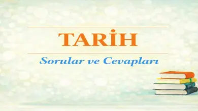 10. Sınıf Tarih Ders Kitabı Sayfa 190 Cevapları Meb Yayınları