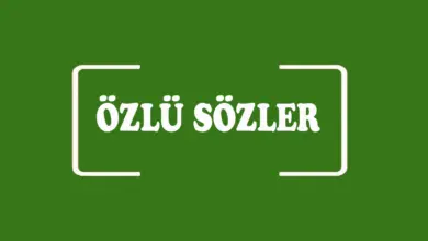 İçinde sabır geçen özlü sözler bulup yazınız
