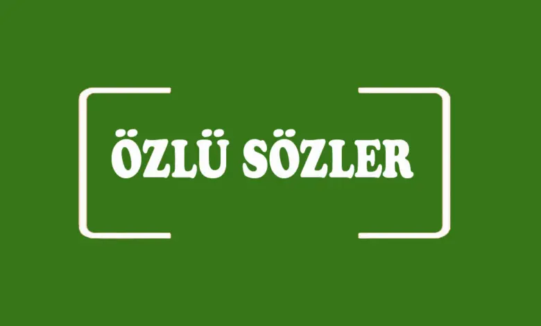 İçinde sabır geçen özlü sözler bulup yazınız