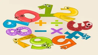 Kesirler ve Ondalık Gösterimlerle İlgilenen Matematikçilerin Çalışmaları Nelerdir?