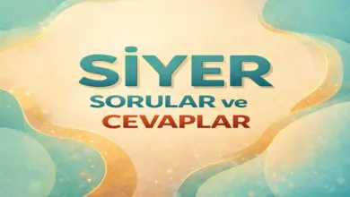 Savaş ve Afet Sonrası Toplumsal Dayanışma Nasıl Güçlendirilir?