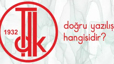 “Yalnız” mı, “Yanlız” mı? En Çok Karıştırılan Kelimenin Doğru Yazımı Açıklandı