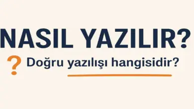 Yalnız mı, Yanlız mı? TDK’ya Göre Doğru Yazılışı ve Örnek Kullanımlar