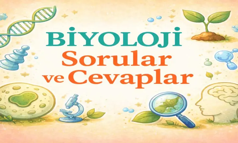 10. Sınıf Meb Biyoloji Ders Kitabı Sayfa 132 Cevapları