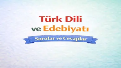 10. Sınıf Edebiyat Ders Kitabı Sayfa 184-185 Cevapları Meb Yayınları