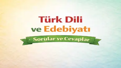 10. Sınıf Edebiyat Ders Kitabı Sayfa 186-188 Cevapları Meb Yayınları