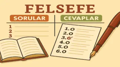 10. Sınıf Felsefe Ders Kitabı Sayfa 167-169 Cevapları Meb Yayınları