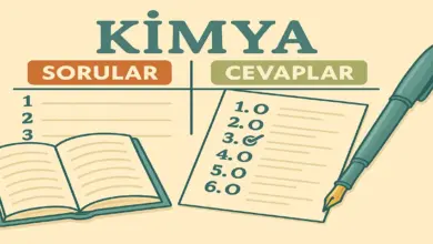 10. Sınıf Kimya Ders Kitabı Sayfa 185-187 Cevapları Meb Yayınları