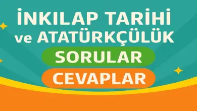 12. Sınıf İnkılap Tarihi Ders Kitabı Sayfa 160 Cevapları SDR İpekyolu Yayınları