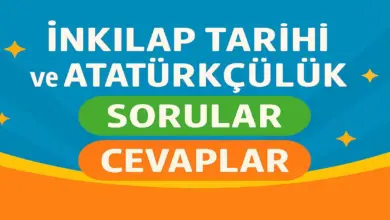 12. Sınıf İnkılap Tarihi Ders Kitabı Sayfa 168 Cevapları SDR İpekyolu Yayınları